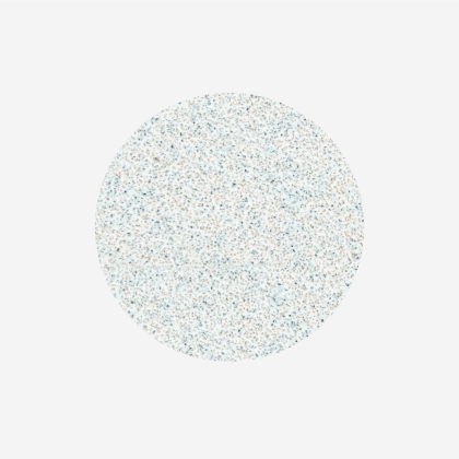 Сменные файлы белые для педикюрного диска Pododisc Staleks Pro L, 100 грит (50 шт)